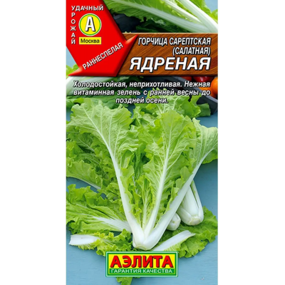 Горчица салатная Ядреная 0,5г (Аэлита)