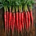 Морковь Красная красавица, смесь 0,5г (Семена Аэлита)