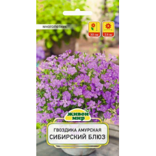 Гвoздикa aмypcкaя Сибиpcкий блюз (W. Legutko) 0,1 г, РБ