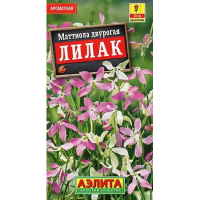 Маттиола двурогая Лилак 0,5г (Семена Аэлита)