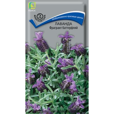 Лаванда Фрагрант Баттерфляй, 20 семян (Семена ПОИСК)