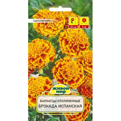 Бархатцы отклоненные Брокада испанская, 1г (W. Legutko, Польша)