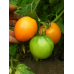 Томат ультраранний Золотое сердце  20шт (Семена Аэлита)