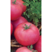 Томат НЕПАСЫНКУЮЩИЙСЯ МАЛИНОВЫЙ, 20 семян (Уральский Дачник)