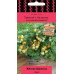 Томат комнатный Желтая Шапочка -5 семян (Серия Четыре лета - Семена ПОИСК) Томат комнатный Желтая Шапочка -5 семян (Серия Четыре лета - Семена ПОИСК)