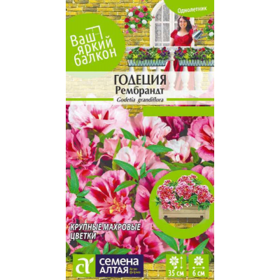 Годеция крупноцветковая Рембрандт 0,2г (Серия Ваш яркий балкон -Семена Алтая)
