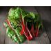 Мангольд Алый веер 0,5г (Серия Декоративный огород - Семена ПОИСК)