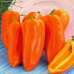 Перец сладкий для открытого грунта Янтарь (Серия Северяне - Семена Аэлита)