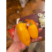 Перец сладкий для открытого грунта Янтарь (Серия Северяне - Семена Аэлита)