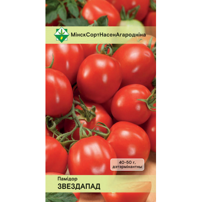 Томат белорусской селекции Звездопад* (МинскСортСемОвощ)
