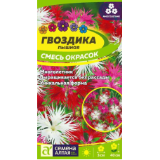 Гвоздика Пышная, смесь окрасок  0,1г (Семена Алтая)