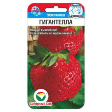 Земляника садовая (клубника) Гигантелла - 10 семян (Сиб сад)