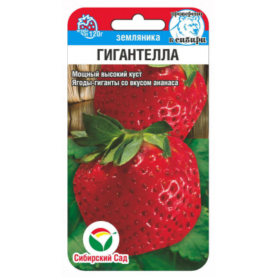 Земляника садовая (клубника) Гигантелла - 10 семян (Сиб сад)