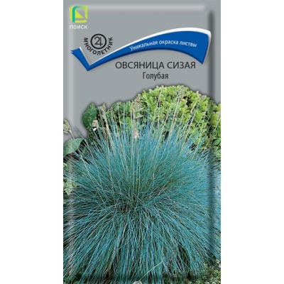 Овсяница сизая Голубая 0,1г (Семена ПОИСК)