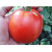 Томат Реликвия из Уссурийска (Реликтовые томаты - Наш сад)