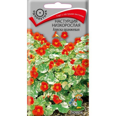Настурция низкорослая кустовая Аляска Оранжевая, 1г (Семена ПОИСК)