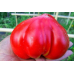 Томат крупноплодный Любимый праздник (Сиб сад)