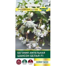 Бегония клубневая ампельная Шaнcoн Бeлaя F1, 10 семян (Cerny seed, Чехия)