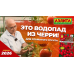 Томат Огни тундры F1, 7 семян (серия Северяне - Семена Аэлита)