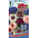 Василёк низкорослый КОНФЕТТИ 0,2г (Уральский Дачник) Василёк низкорослый КОНФЕТТИ 0,2г (Уральский Дачник)
