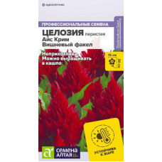 Целозия перистая Айс Крим Вишневый факел, 7 семян (Семена Алтая)