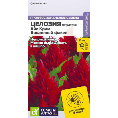 Целозия перистая Айс Крим Вишневый факел, 7 семян (Семена Алтая)