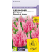 Целозия перистая Айс Крим Розовый факел, 7 семян (Семена Алтая) Целозия перистая Айс Крим Розовый факел, 7 семян (Семена Алтая)