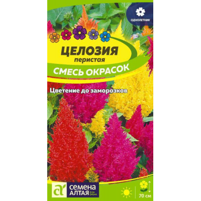 Целозия перистая, смесь окрасок 0,2г (Семена Алтая)