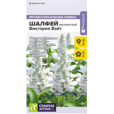 Шалфей мучнистый Виктория Вайт, 10 семян (Семена Алтая)