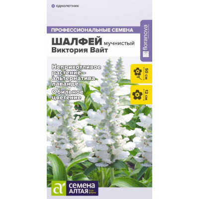 Шалфей мучнистый Виктория Вайт, 10 семян (Семена Алтая)