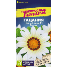 Гацания Новый день F1 Белая, 5 семян (серия Низкорослые Гиганты - Семена Алтая)
