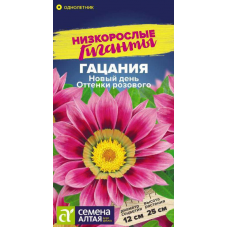 Гацания Новый день F1 Оттенки розового, 5 семян (серия Низкорослые Гиганты - Семена Алтая)