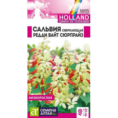 Сальвия Редди Вайт Сюрпрайз сверкающая, 5 семян (Семена Алтая)