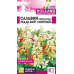 Сальвия Редди Вайт Сюрпрайз сверкающая, 5 семян (Семена Алтая) Сальвия Редди Вайт Сюрпрайз сверкающая, 5 семян (Семена Алтая)