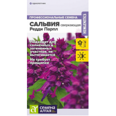 Сальвия Редди Парпл сверкающая, 5 семян (Семена Алтая)