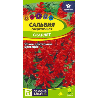 Сальвия сверкающая Скарлет 0,1г (Семена Алтая)