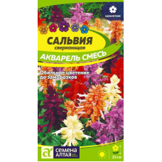 Сальвия сверкающая Акварель, смесь 0,1г (Семена Алтая)