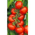 Томат НЕПАСЫНКУЮЩИЙСЯ УЛЬТРАСКОРОСПЕЛЫЙ, 20 семян (Уральский Дачник)