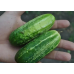 Огурец Засолочный 0,3г (семена Агроуспех)