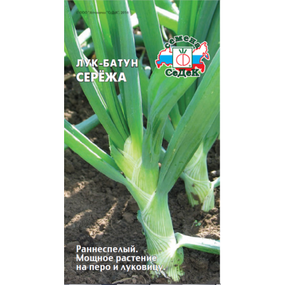 Лук-батун Серёжа 0,3г (Семена СеДеК)