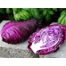 Капуста краснокочанная Красное сердце 0,1г (серия Декоративный огород - Семена ПОИСК)