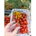 Томат мини-черри Чудо-детки, 20 семян (Семена Аэлита)