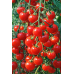 Томат мини-черри Чудо-детки, 20 семян (Семена Аэлита)