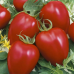 Томат непасынкующийся Сибирское чудо 0,1г (семена Агроуспех)