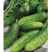 Огурец засолочный Тополек F1 0,3г (семена Агроуспех)
