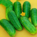 Огурец засолочный Тополек F1 0,3г (семена Агроуспех)