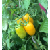 Томат Черри Банано, 20 семян (Сибирский Сад)