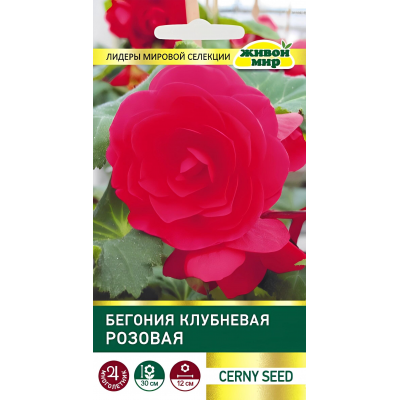 Бегония клубневая крупноцветковая Розовая, 10 семян (Cerny seed, Чехия)