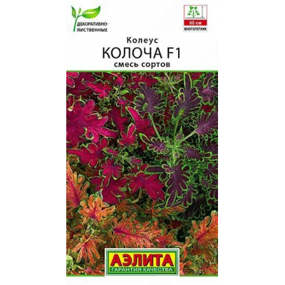 Колеус Колоча F1, смесь сортов, 5 семян (Сerny Seed - Аэлита)