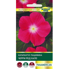 Катарантус карликовый Пацифика Черри Ред Хало, 5 семян (PanAmerican Seed, Живой мир)